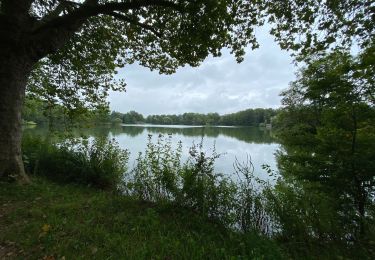 Trail Walking Leuven - Entre Louvain et Holsbeek - Photo