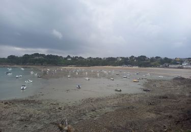 Trail Walking Cancale - Pointe de Grouin 4.7.23 - Photo