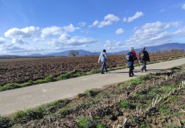 Tour Wandern Schweighausen - Schweighouse Thann  - Photo