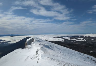 Excursión Senderismo Bouvante - Serre Montue en hivernal depuis la ferme de LENTE - Photo