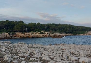 Excursión Senderismo Antibes - Cap d'Antibes - Photo