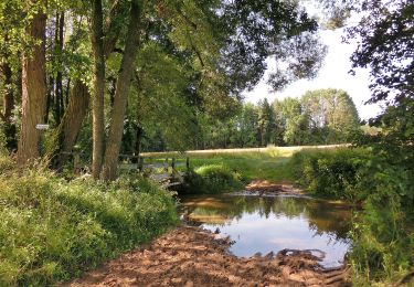 Randonnée A pied Kirchenpingarten - Speichersdorf Rundwanderweg Nr. 3 - Photo