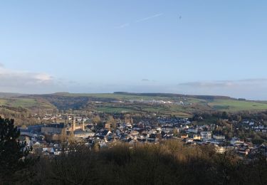 Tour Wandern Echternach - A travers les rochers du Luxembourg  - Photo