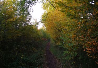 Trail Walking Nivelle - Boucle au départ du Ranch de Nivelles - Photo