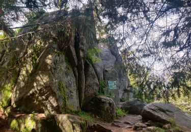 Tocht Stappen Lapoutroie - 2020-07-19 Marche Étang du Devin Col Calvaire Tête des Faux - Photo