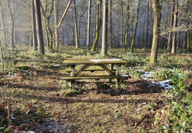 Trail Walking Profondeville - La promenade du bois de Nimes à Lustin - Profondeville - Photo