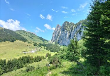 Trail Walking Vacheresse - Tour du Mont Chauffé  - Photo
