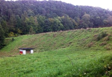 Percorso A piedi Quedlinburg - Wellbachtal - Photo