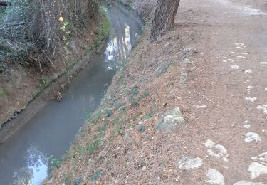 Tour Wandern Miramas - Miramas Pont de Fumet - Photo