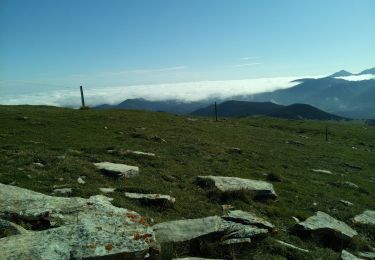 Tocht Stappen Caussou - Le mont Forcat en passant par le Scaramus, le col de la Gardie et Prades - Photo