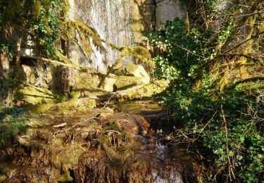 Randonnée Marche Saint-Hymetière-sur-Valouse - St hymetiere  - Photo