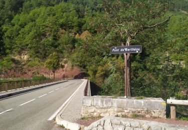 Tour Wandern Daluis - Gorges de Daluis - Photo