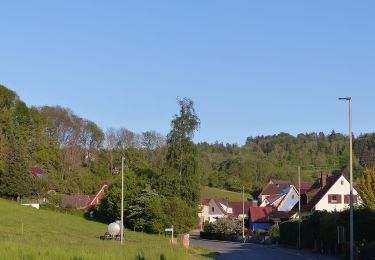 Randonnée A pied Weißenohe - Weißenoher Grünrautenweg - Photo