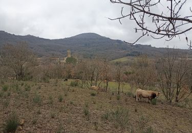 Randonnée Marche Fozières - Fauzieres jolie balade, fangouze, belle montée et retour dans la foret - Photo