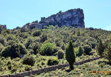 Tour Zu Fuß Orgosolo - (SI Z16) Sa Sinepida - Ilodei Malu (Caserma Montes) - Photo