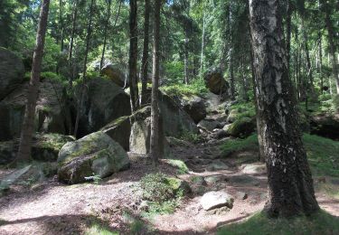 Tocht Te voet Olbersdorf - LG-Gelber Strich - Photo