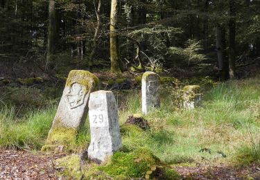 Tocht Te voet Bad Soden-Salmünster - Mernes - Wanderweg Schmetterling - Photo