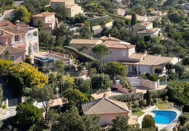 Trail Walking Roquebrune-sur-Argens - Gaillarde-Baronne - Photo