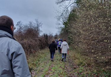 Trail Walking Moret-Loing-et-Orvanne - 20230103 randonnée nadine  - Photo