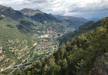 Trail Mountain bike Aime-la-Plagne - Hauteville  - Photo