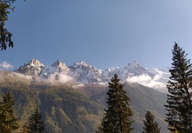 Trail Walking Chamonix-Mont-Blanc - 20211010 Chamonix Les Praz Sud - Photo