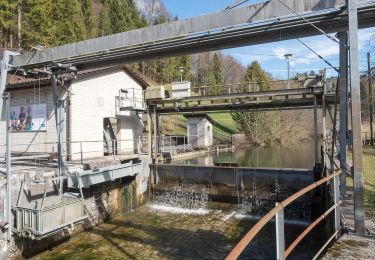 Excursión A pie Neuheim - Höllbrücke - Schmittli - Photo