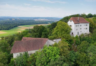 Randonnée A pied Brunegg - Schloss Wildegg - Brunegg - Photo