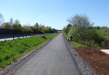 Tour Zu Fuß Tirschenreuth - Tirschenreuth Rundwanderweg Nr. 9 - Photo