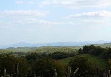 Trail On foot Kalwaria Pacławska - Dróżka Pogrzebu i Wniebowstąpienia NMP - Photo