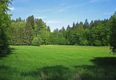 Tour Zu Fuß Rauhenebrach - Lauftour RAU1 - Photo