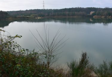 Tocht Te voet Zutendaal - Papendaalheide Groene rechthoek - Photo