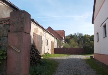 Tocht Te voet Mansfeld - Schloßweg - Photo