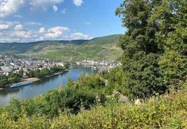 Trail Walking Bernkastel-Kues - Bernkastel 13 km - Photo