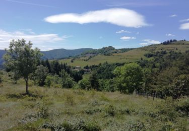 Trail Walking Jaunac - Jaunac 10km - Photo
