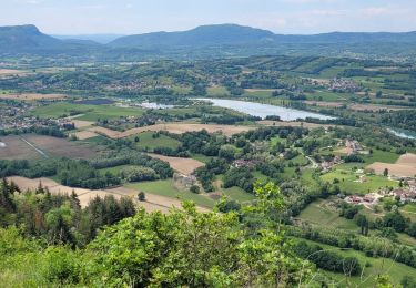 Tour Wandern Yenne - parves - Photo