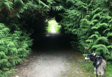 Tour Wandern Anhée - Boucle Anhée - poilvache - les roches yvoir - Photo