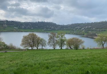 Excursión Senderismo Daun - Les 3 Maars de Daun (Eifel) - Photo