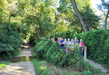 Percorso Marcia Servon - J 25 - 13km  gué mignote lesigny retour golf forcille - Photo