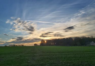 Randonnée Marche nordique Chaumont-Gistoux - dion vieusard par le haut_bas - Photo