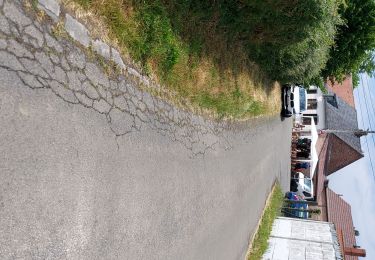Percorso Marcia Chièvres - LADEUZE ( CHIEVRES ) _ Marche Fédérale _ HT _ 18/06/2023 - Photo