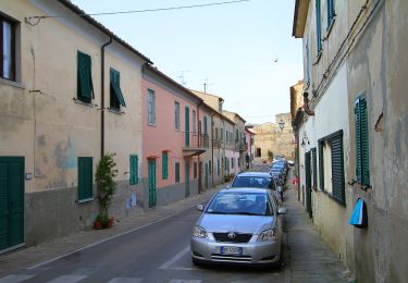 Tocht Te voet Campo nell'Elba - IT-195 - Photo