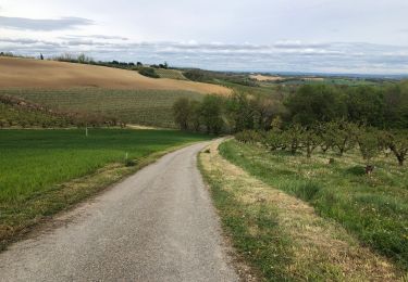 Randonnée Marche Mirabel - Autour de Mirabel - Photo