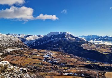 Tocht Stappen La Roche-des-Arnauds - Tête-de-vente-cul-et-sommet-des-teyssonnieres - Photo