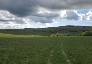 Tocht Stappen Prades-d'Aubrac - buron de la truque - Photo