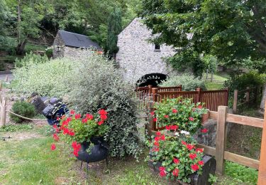 Randonnée Marche Saint-Lary-Soulan - AZET : Pla d’Ourtigué en boucle - Photo