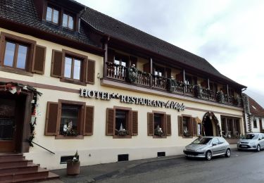 Tour Wandern Ingweiler - 67 Ingwiller - Photo