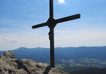 Excursión A pie Hamry - naučná stezka Z Hamrů na Ostrý - Photo