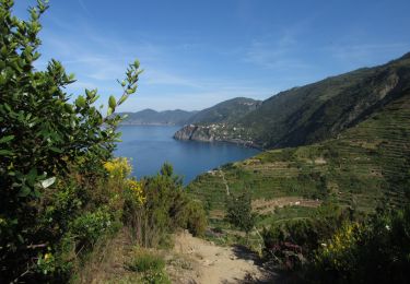 Trail Walking Riomaggiore - Cinque Terre 4/5 - Photo