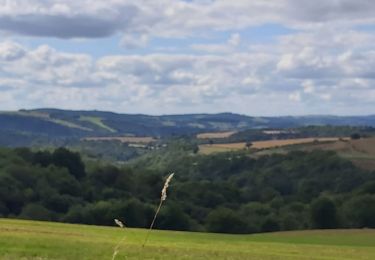 Tour Wandern Pont-d'Ouilly - pont d'Ouilly  - Photo