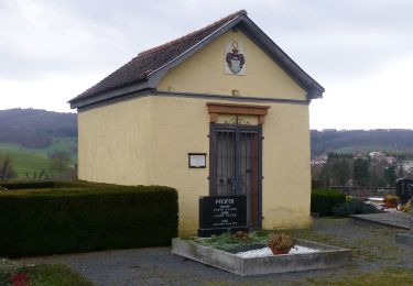 Excursión A pie Fränkisch-Crumbach - Rundwanderweg Am Michelbacher Tal 5 : Rund um den Galgenbergweg - Photo